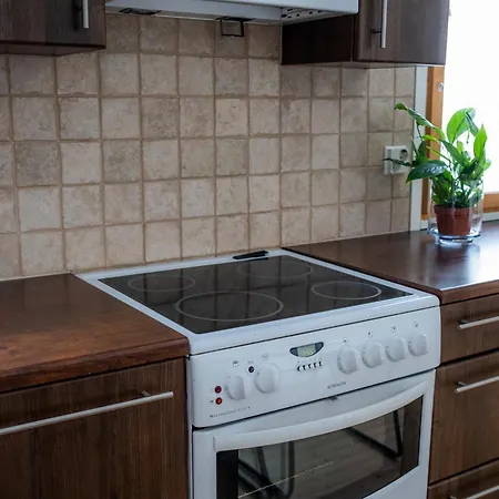 Nurmenhelmi Jaerven Rannalla Appartement *