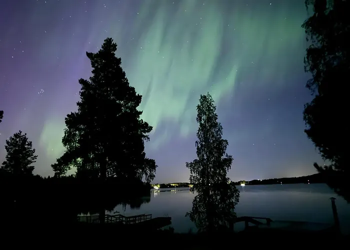 Nurmenhelmi Jaerven Rannalla *