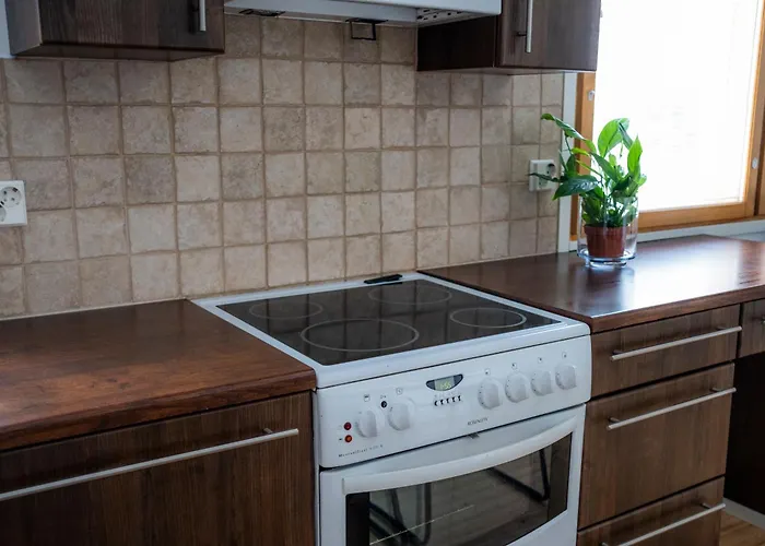 Nurmenhelmi Jaerven Rannalla 公寓 *